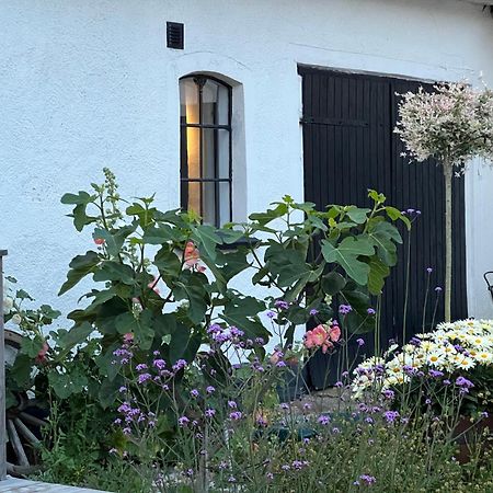Backadal Gard Bnb إيستاد المظهر الخارجي الصورة