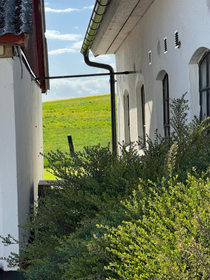 Backadal Gard Bnb إيستاد المظهر الخارجي الصورة
